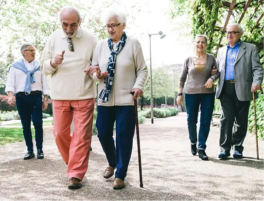 Group of senior walking through park